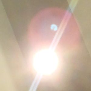 Meet your Posher, Toby